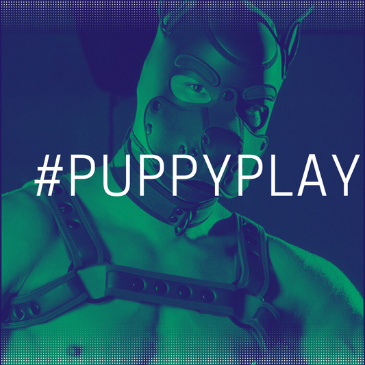 What is Human Puppy Play?