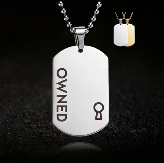Owned BDSM Necklace